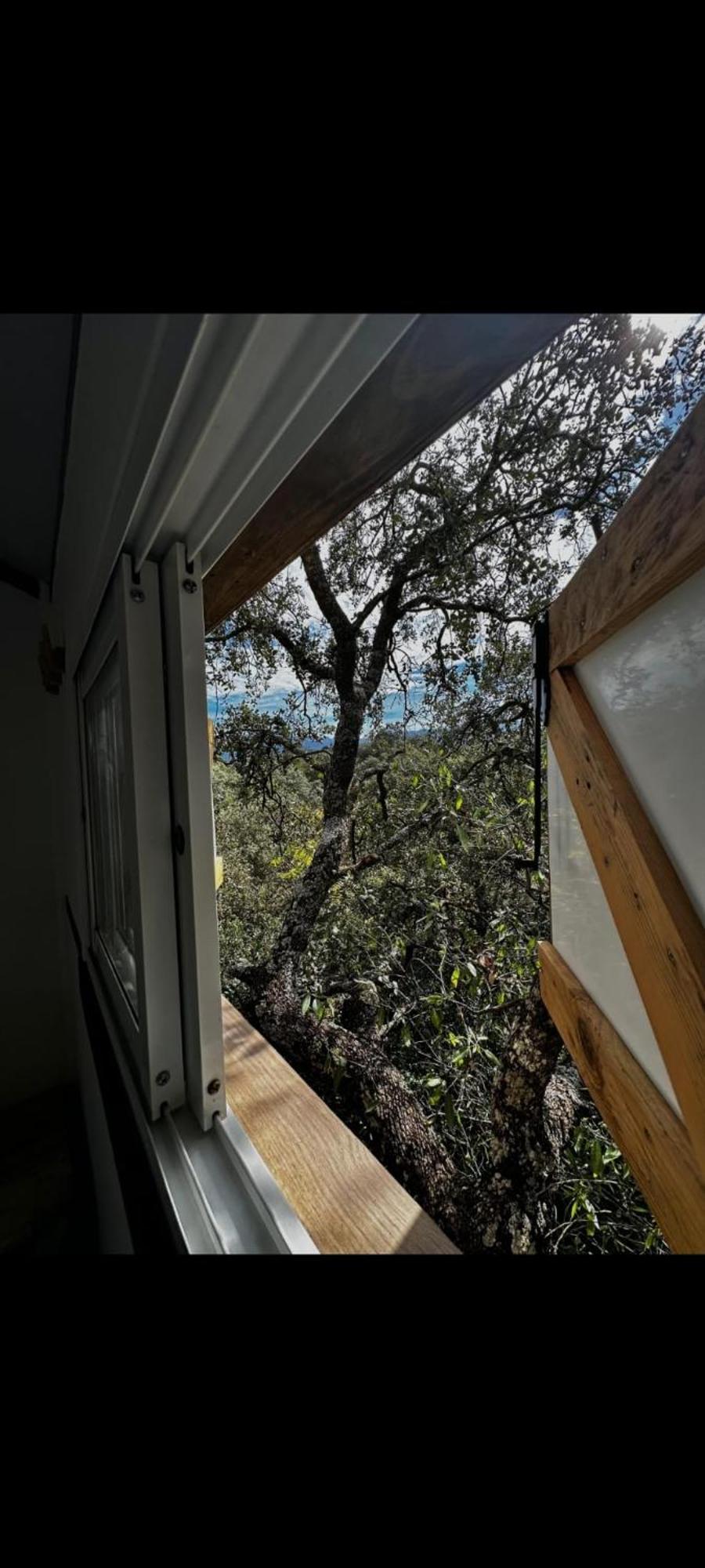 Cabana Del Arbol Lavagarural Villanueva del Rosario Buitenkant foto