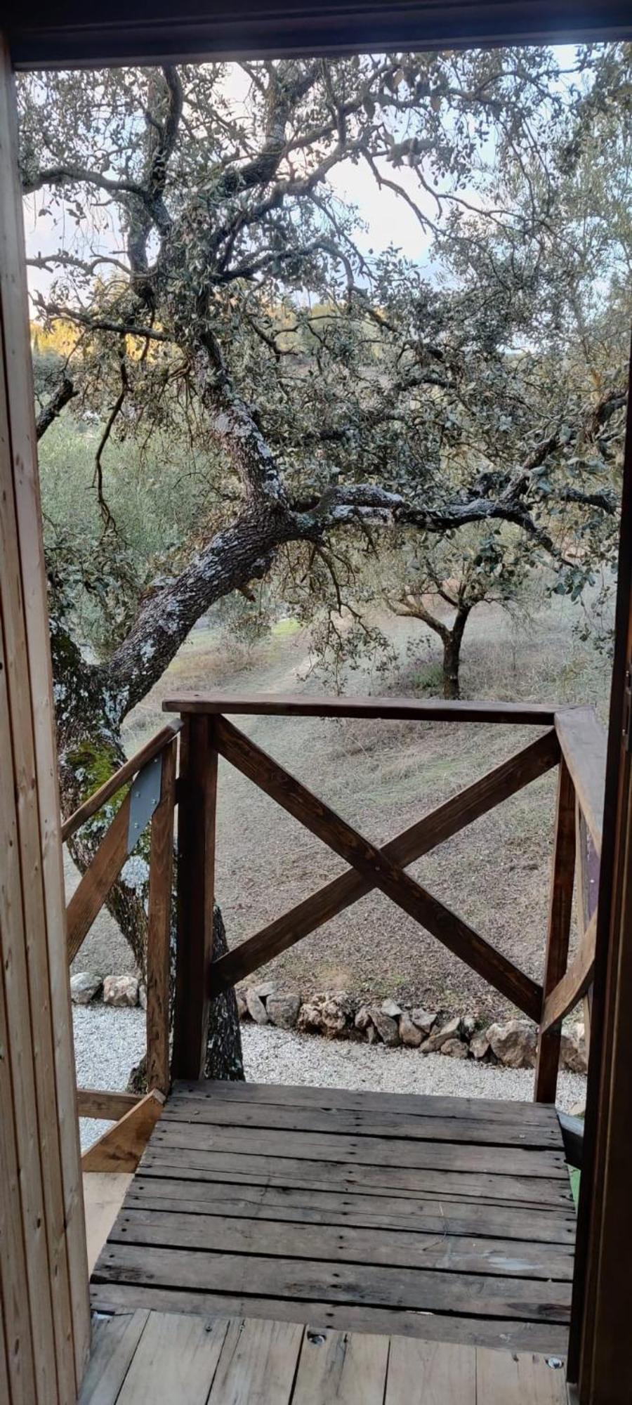 Cabana Del Arbol Lavagarural Villanueva del Rosario Buitenkant foto