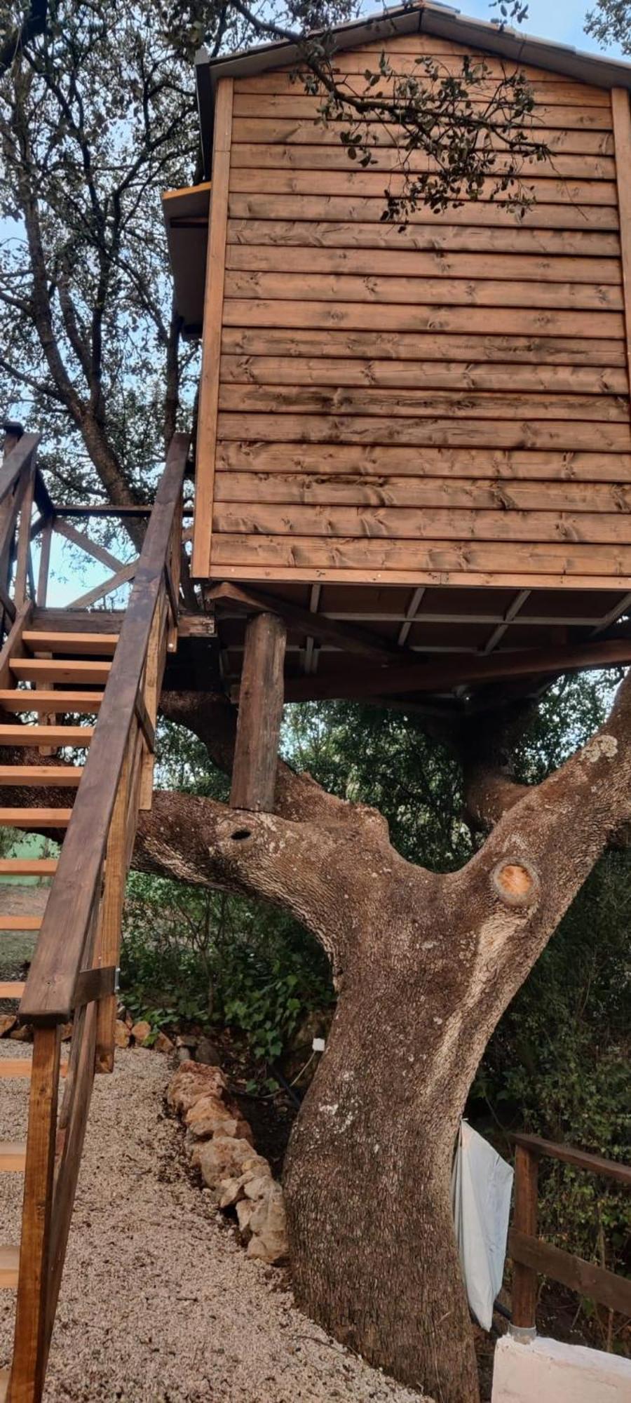 Cabana Del Arbol Lavagarural Villanueva del Rosario Buitenkant foto